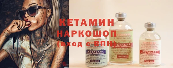 гашик Алексин