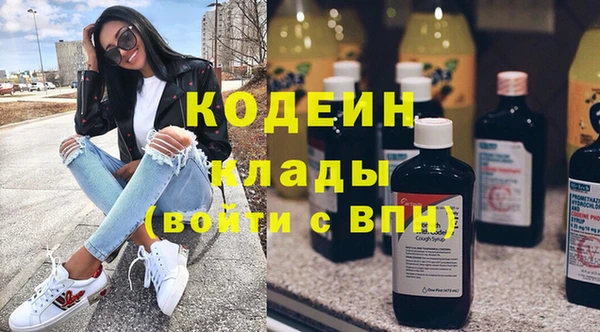 хмурый Алзамай