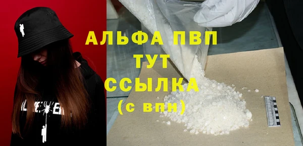 гашик Алексин
