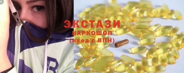 гашик Алексин