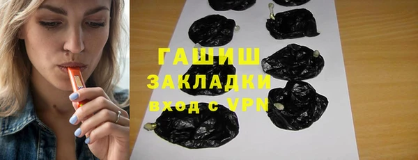 гашик Алексин