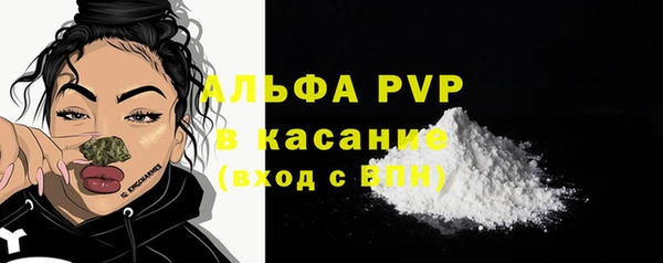 гашик Алексин