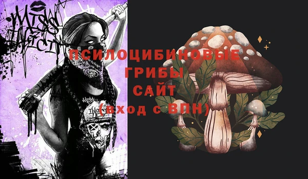 хмурый Алзамай
