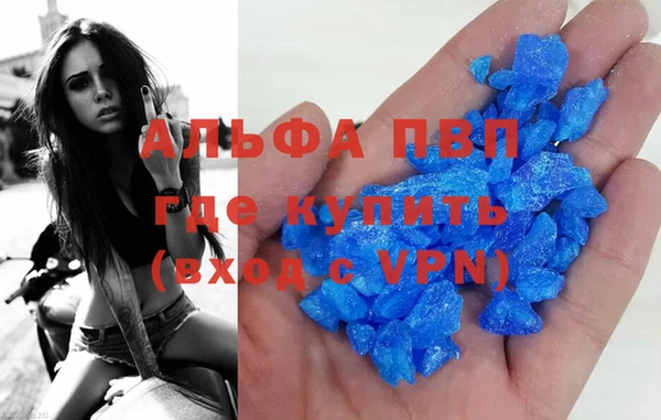гашик Алексин