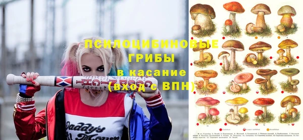 МДПВ Алексеевка