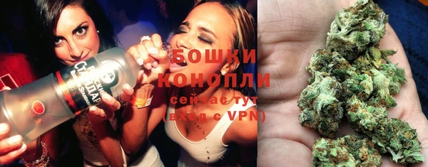 хмурый Алзамай