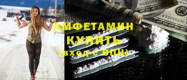 гашик Алексин