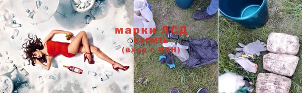 хмурый Алзамай