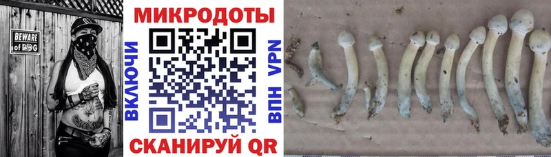 как найти закладки  Каменск-Шахтинский  Галлюциногенные грибы ЛСД 